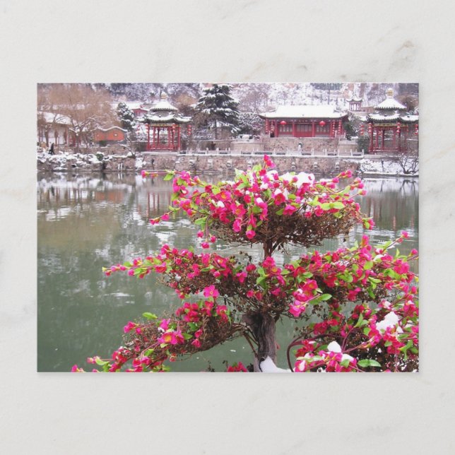 Carte Postale Palais d'hiver Fleurs (Devant)