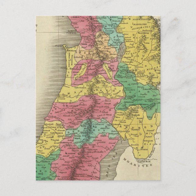 Carte Postale Palestine (Devant)