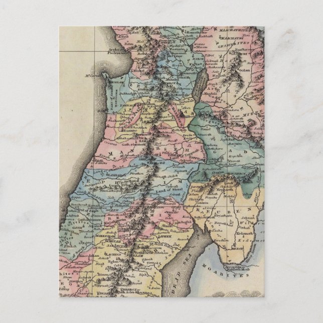 Carte Postale Palestine 2 (Devant)