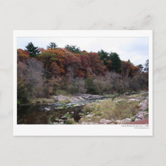 Carte postale Palette de l'artiste