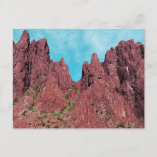 Carte Postale Palm Canyon Arizona