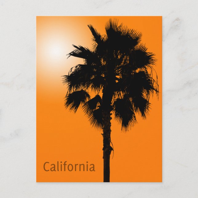 Carte Postale Palm de Californie (Devant)