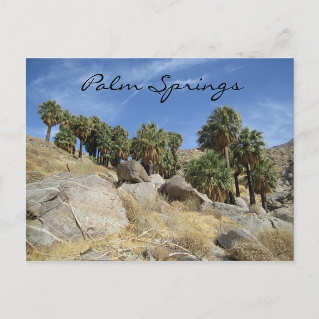 Carte postale Palm Springs (Devant)