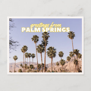 Carte Postale Palm Springs Palmiers Rétro Vintage Voyage