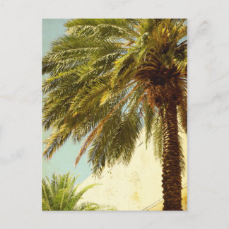 Carte postale Palm Tree