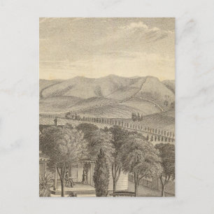 Carte Postale Palmer res, vignoble