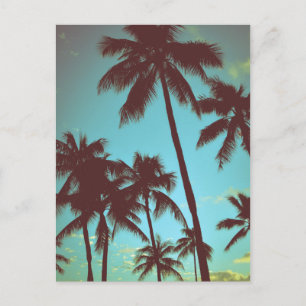 Carte Postale Palmes tropicales vintages