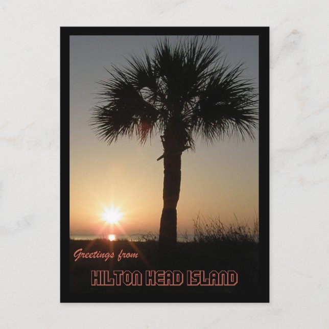 Carte Postale Palmetto à l'aube (Devant)