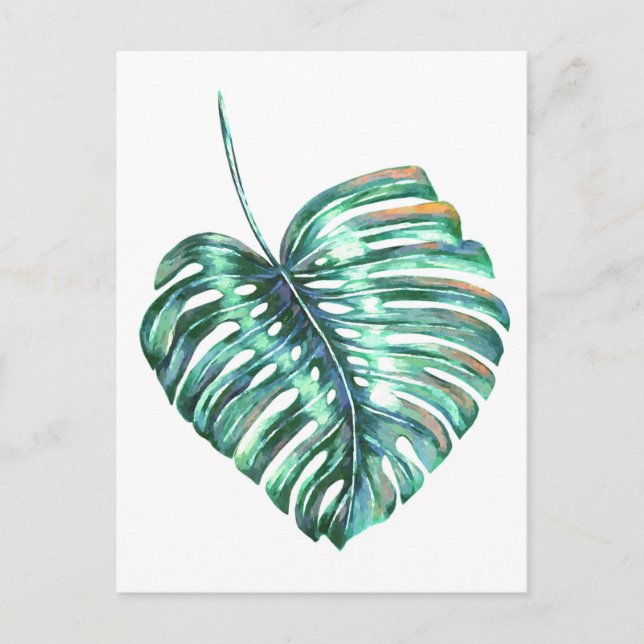 Carte Postale Palmier à feuilles de monstère vert tropical (Devant)