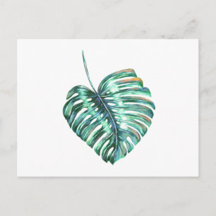 Carte Postale Palmier à feuilles de monstère vert tropical