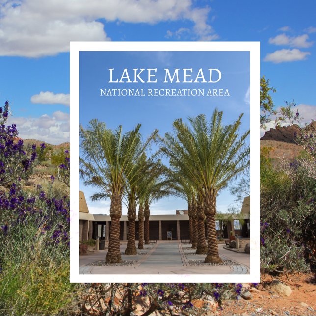 Carte Postale Palmier Bordée Walk Visitor Center Lake Mead, NRA (Créateur téléchargé)