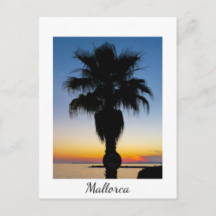 Carte Postale Palmier de Majorque au coucher du soleil