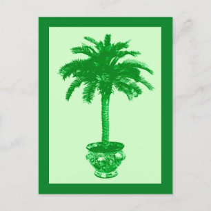 Carte postale Palmier en pot, Émeraude et Vert Cla