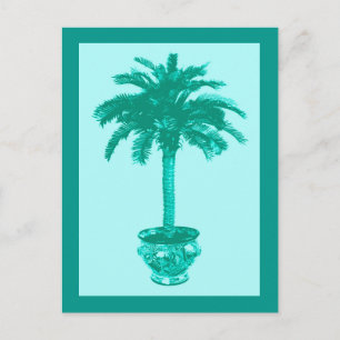 Carte Postale Palmier en pot, turquoise et aqua