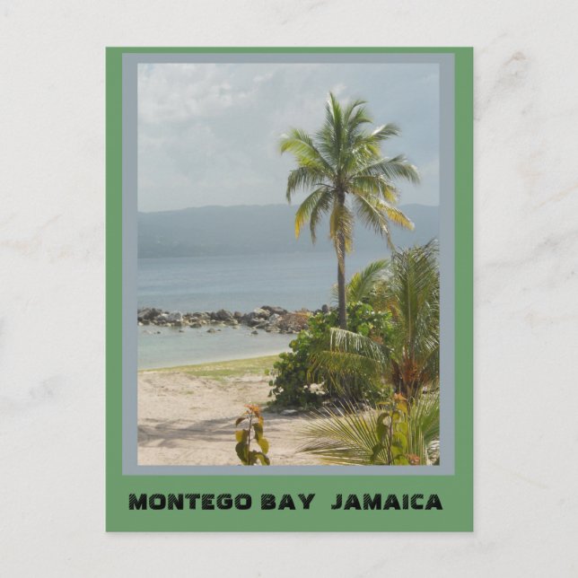 Carte Postale Palmier, Montego Bay Jamaïque (Devant)