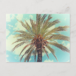 Carte Postale Palmier tropique vintage