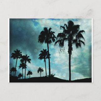 Carte Postale palmiers à crépuscule