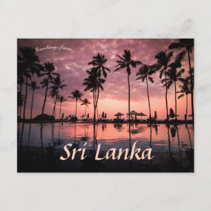 Carte Postale Palmiers à Negombo Beach Sri Lanka