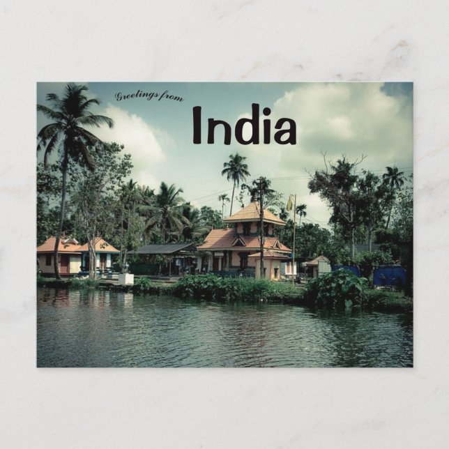 Carte Postale Palmiers au Kerala Inde (Devant)