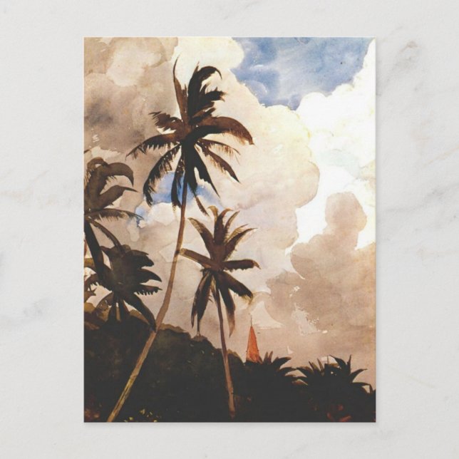 Carte Postale Palmiers, Bahamas (Devant)