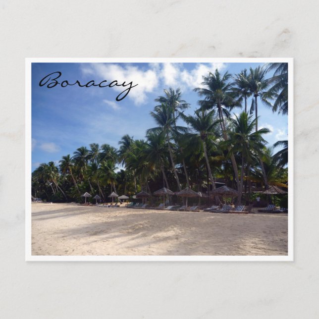 Carte Postale palmiers boracay (Devant)