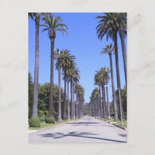 Carte Postale Palmiers dans une rue de Los Angeles