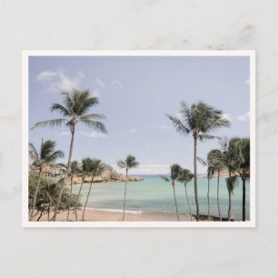 Carte Postale Palmiers de Lihue Kauai Hawaï Photo de vœux