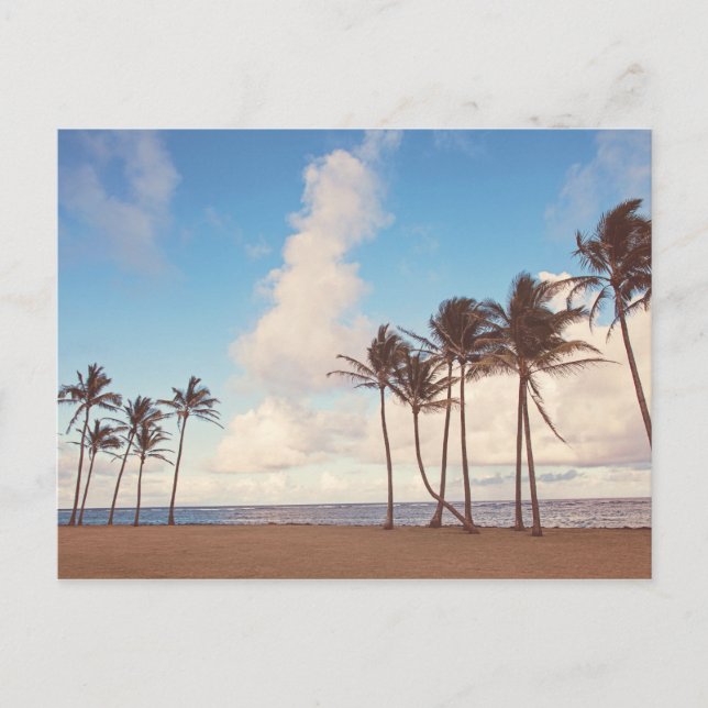 Carte postale Palmiers de l'île de Kauai (Devant)