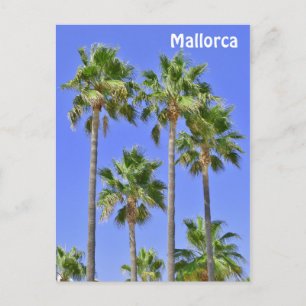 Carte Postale Palmiers de Majorque