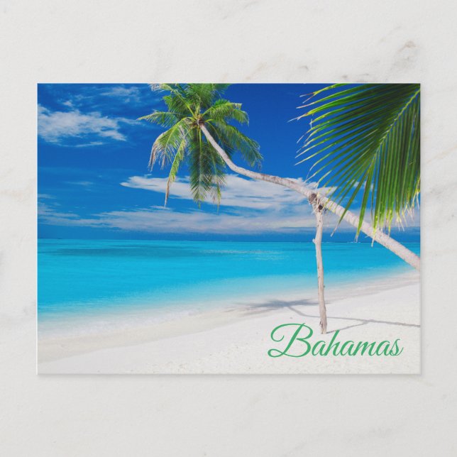Carte Postale Palmiers de plage Tropical Blue Exotic Bahamas (Devant)