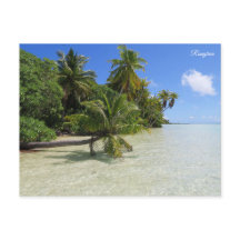 Palmiers de Rangiroa