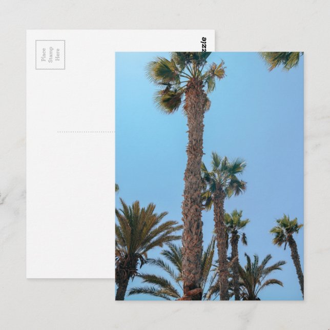 Carte Postale Palmiers d'été (Devant / Derrière)