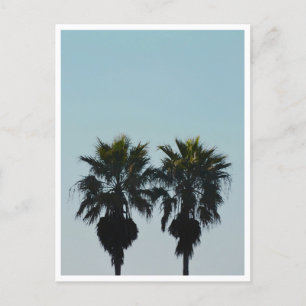 Carte Postale Palmiers d'été