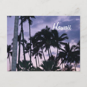 Carte Postale Palmiers d'Hawaï au coucher du soleil