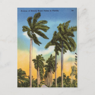 Carte Postale Palmiers floraux Floride Vintage Floride