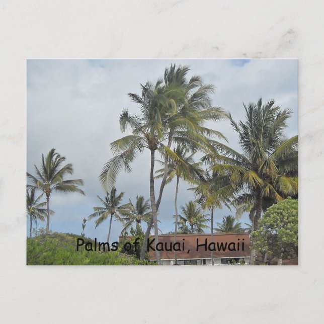 Carte Postale Palmiers hawaïens (Devant)
