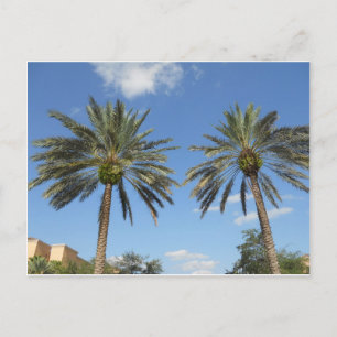 Carte Postale Palmiers jumeaux