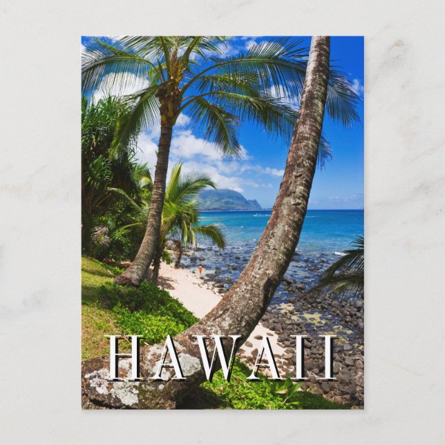Carte Postale Palmiers le long de la plage de Hideaways (Devant)