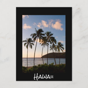 Carte Postale Palmiers soleil hawaïen avec texte