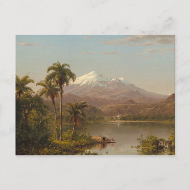 Carte Postale Palmiers Tamaca le long de la rivière Magdalena en (Devant)