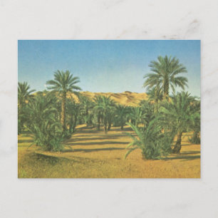 Carte Postale Palmiers, Wadi el Adjal, Libye