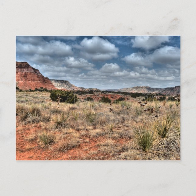 Carte Postale Palo Duro Canyon, Texas (Devant)