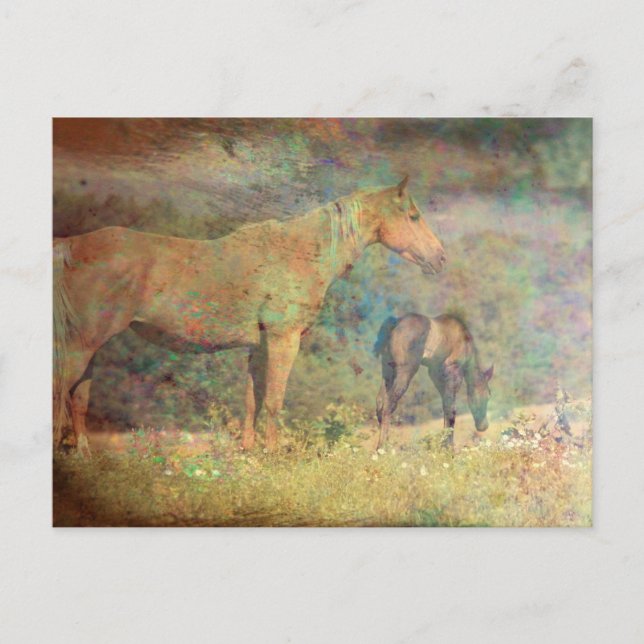 Carte Postale Palomino Mare et Foie (Devant)