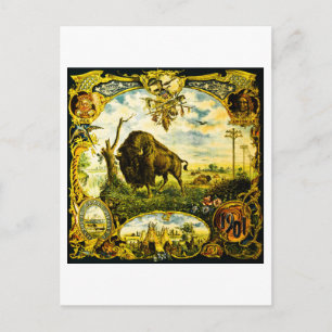 Carte Postale Pan Am Expo avec motifs de bisons et amérindiens
