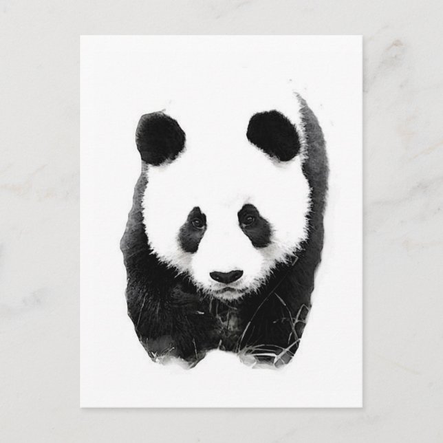 Carte Postale Panda (Devant)