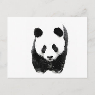 Carte Postale Panda