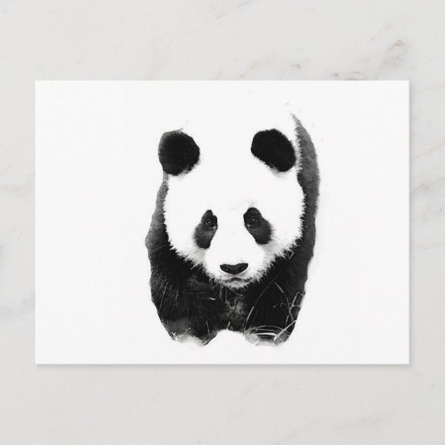 Carte Postale Panda (Devant)