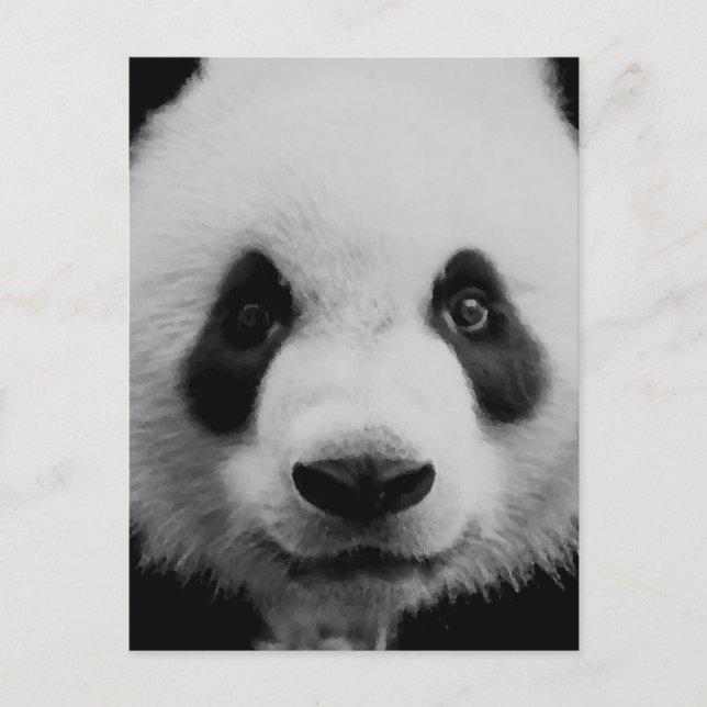 Carte Postale Panda (Devant)