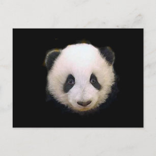 Carte Postale Panda bébé