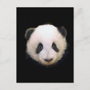 Carte Postale Panda bébé